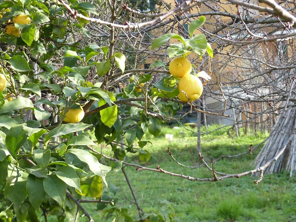 Appartamento Ca' da Valeria One Chiavari